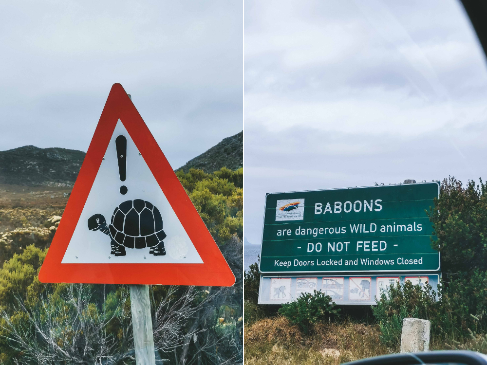 Cape of Good Hope Nationalpark