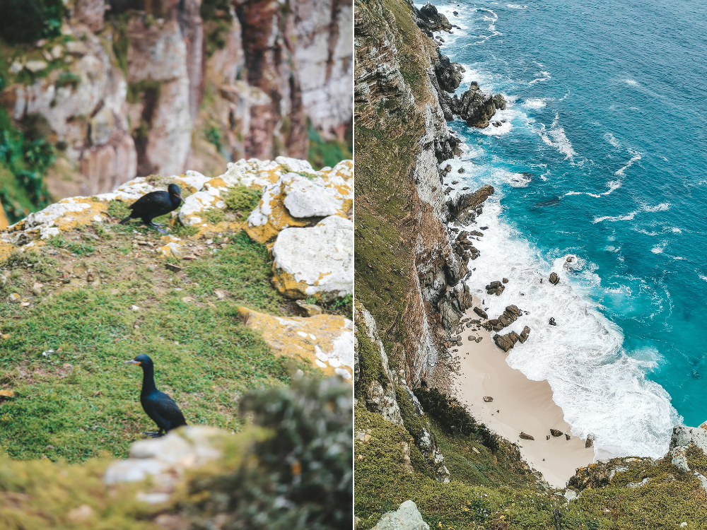 New Cape Point Lighthouse Viewpoint