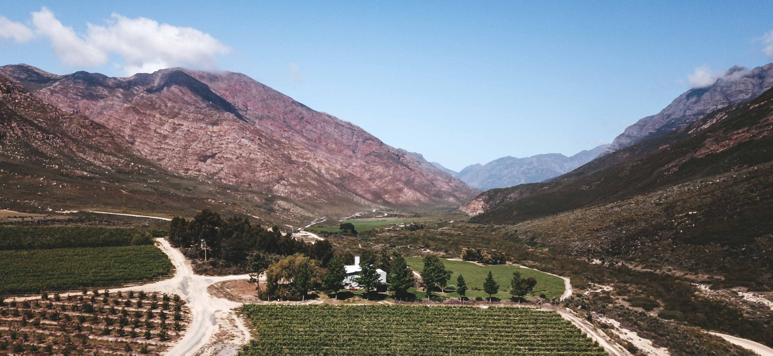 Weinregion Südafrika Reisetipps