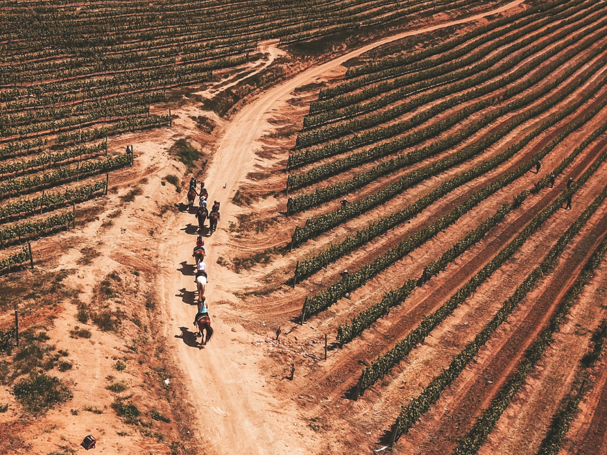 Wine Valley Adventures Ausritt Weinregion