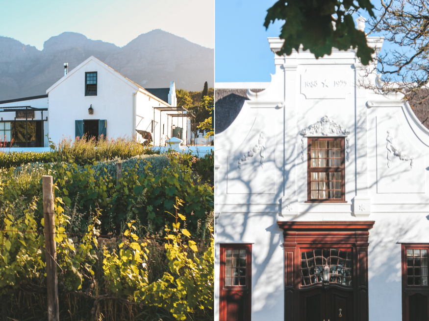 Wine Valley Adventures Kutschfahrt Weingut Südafrika