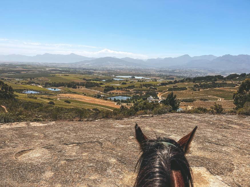 Wine Valley Adventures Reiten auf Pferden Südafrika