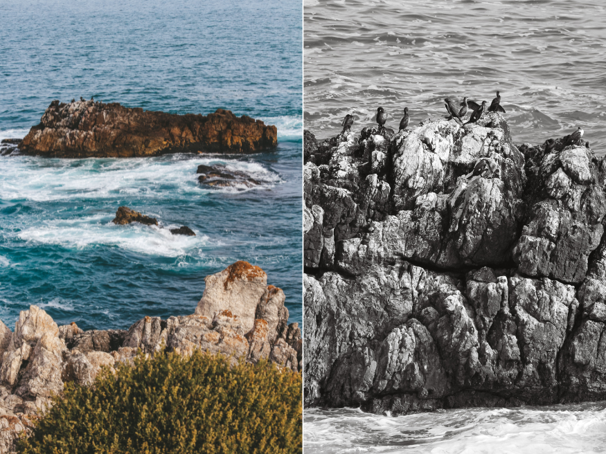 Cliff Path Hiking Trail Garden Route Südafrika