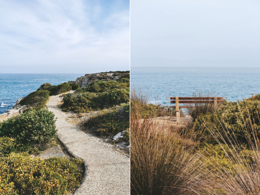 Cliff Path Hiking Trail Wandern