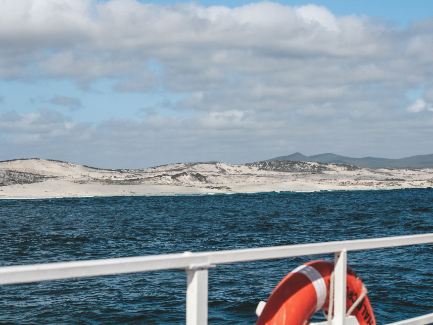 Hermanus Whale Cruises Südafrikareise