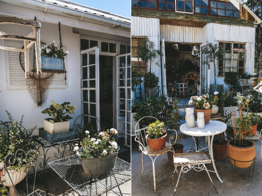 Peregrine Farm Stall Einkaufen Südafrika