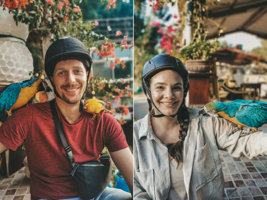 Al Ali Stables Dubai