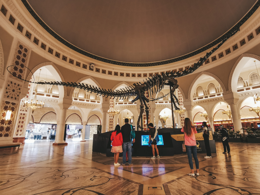 Dubai Dino Skelett eines Diplodocus Dubai Mall