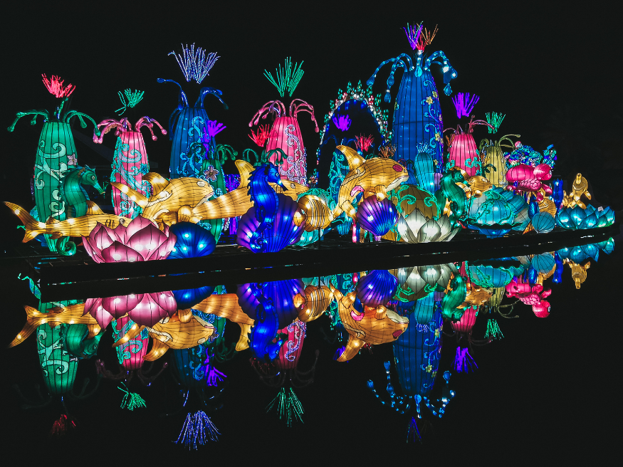 Dubai Garden Glow Eintrittspreis