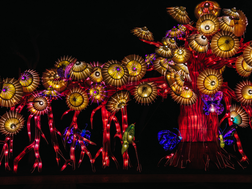 Dubai Garden Glow Lichtinstallationen