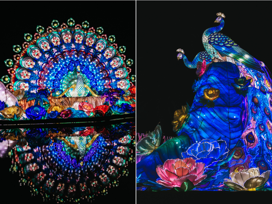 Dubai Garden Glow Öffnungszeiten