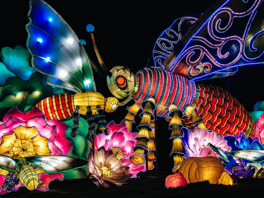 Dubai Garden Glow besuchen