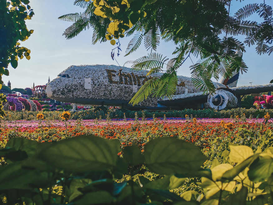 Dubai Miracle Garden Flugzeug