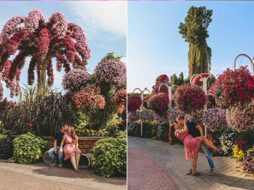Dubai Miracle Garden Fotomotiv