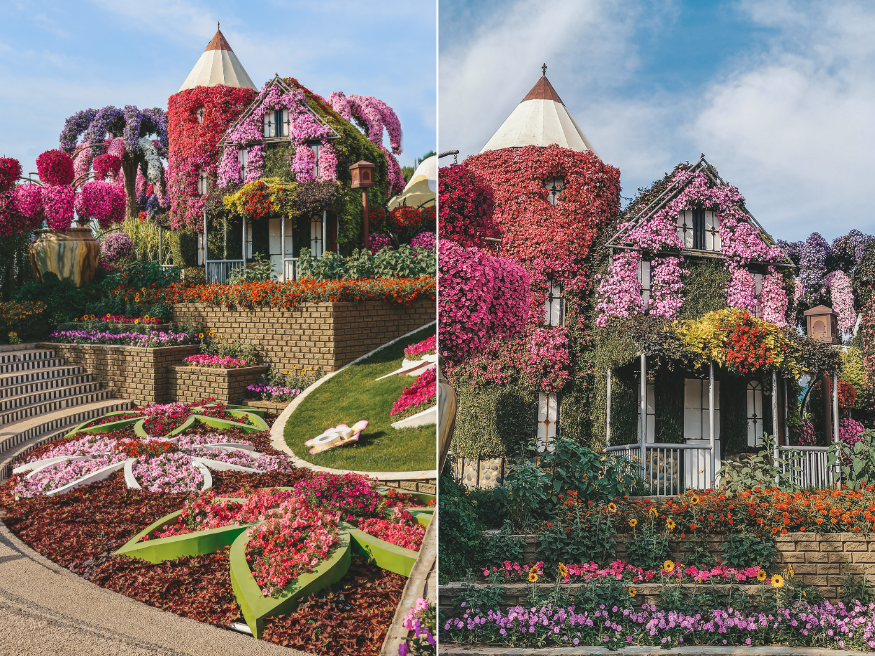 Fotografieren Dubai Miracle Garden