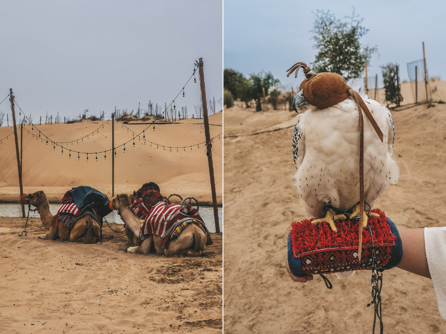 Wüstentour in Dubai