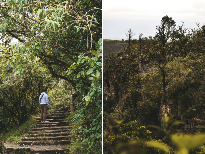 God’s Window Aussichtspunkt Blyde River Canyon