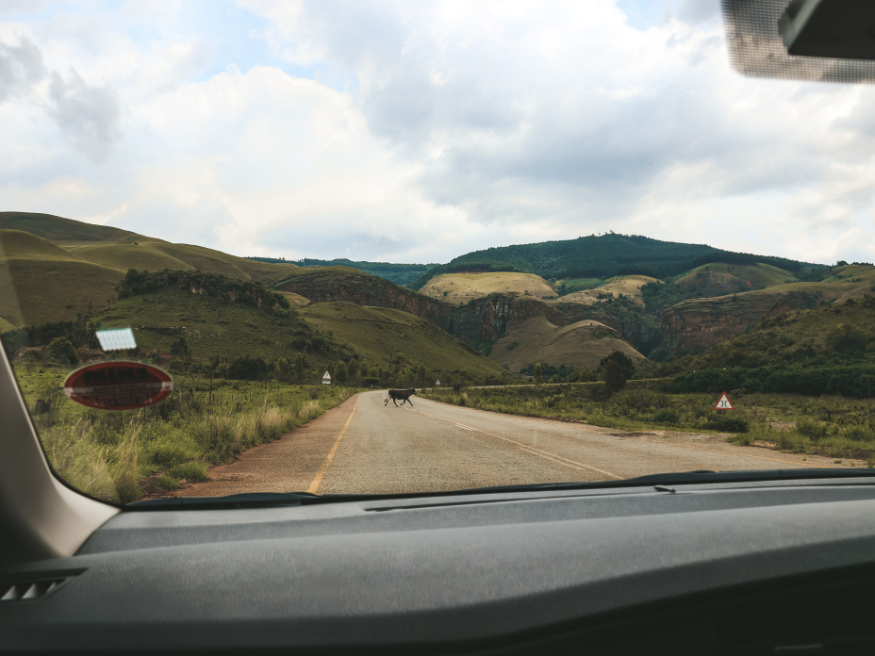 Robbers Pass Passstraße Landschaft Südafrika