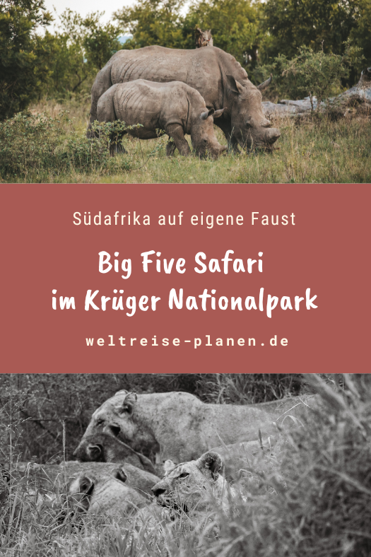 Krüger Nationalpark Südafrika Rundreise Reise