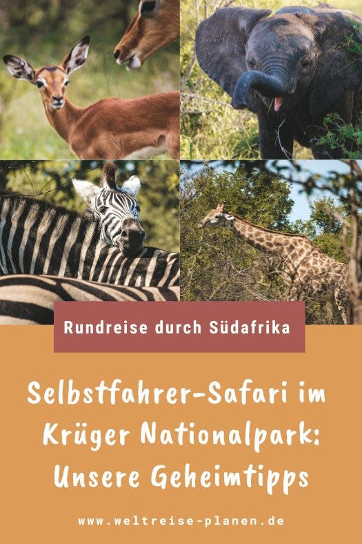 Selbstfahrer Safari Krüger Nationalpark Südafrika